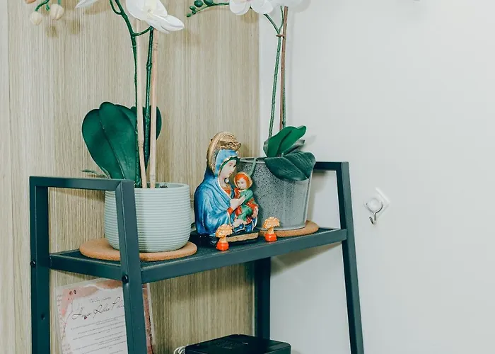 Budget Staycation Near Moa